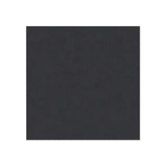 Poodles Pearls & Educated Sigma Girls Magnet