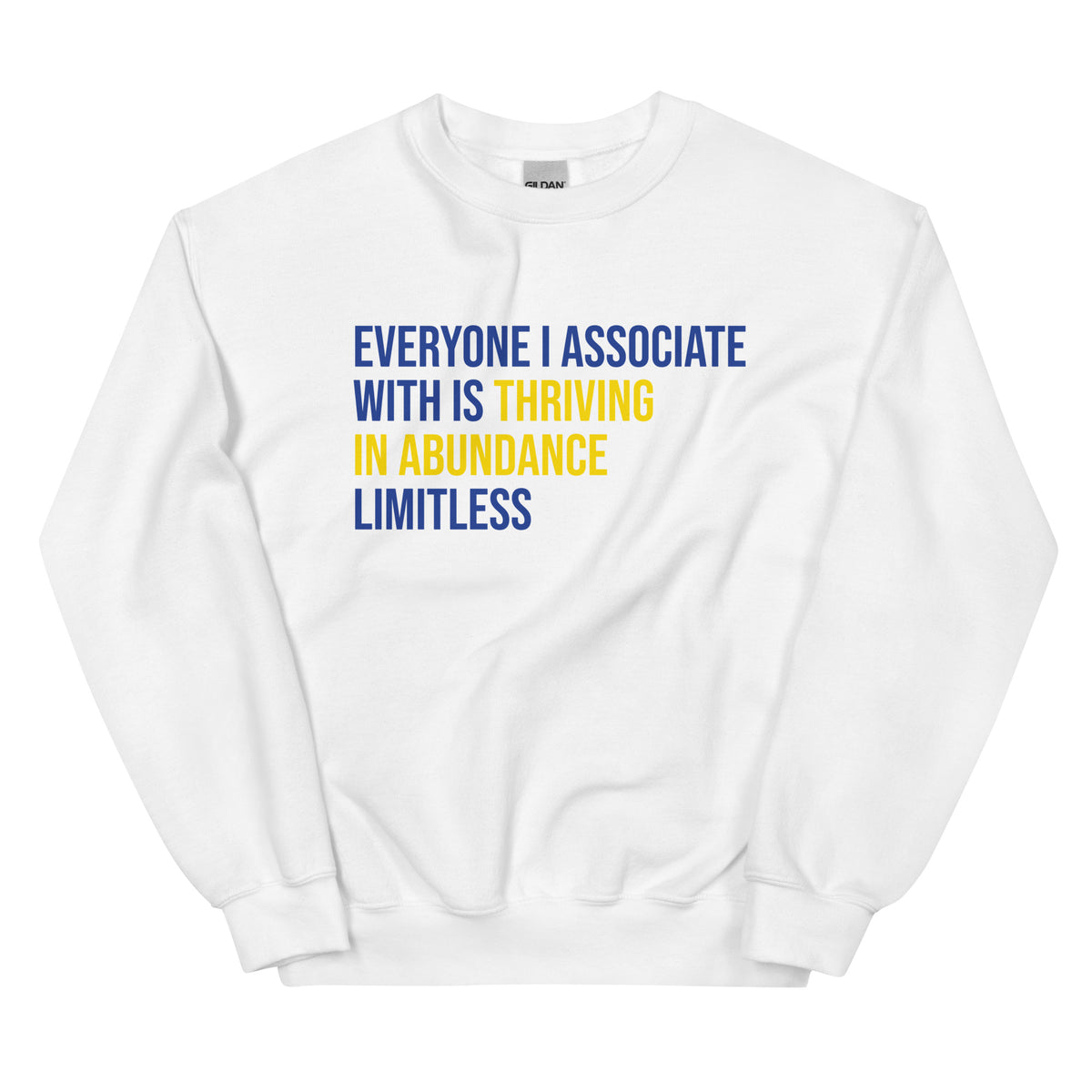 Everyone I Associate With Is Thriving In Abundance Limitless Sweatshirt