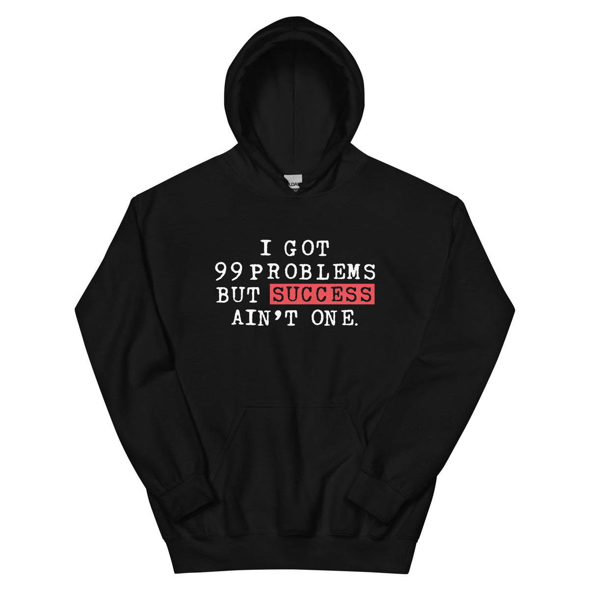 I Got 99 Problems But Success Ain't One Hoodie